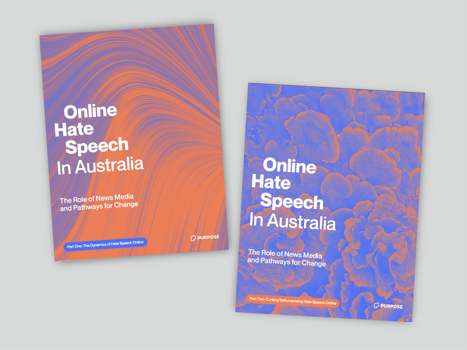 Two reports documents on a grey surface, both titled Online Hate Speech in Australia. One has an orange textured cover and the subtitle: 'The Dynamics of Hate Speech Online' and the other has a more blue textured cover, and the subtitle 'Curbing Dehumanising Hate Speech Online'.