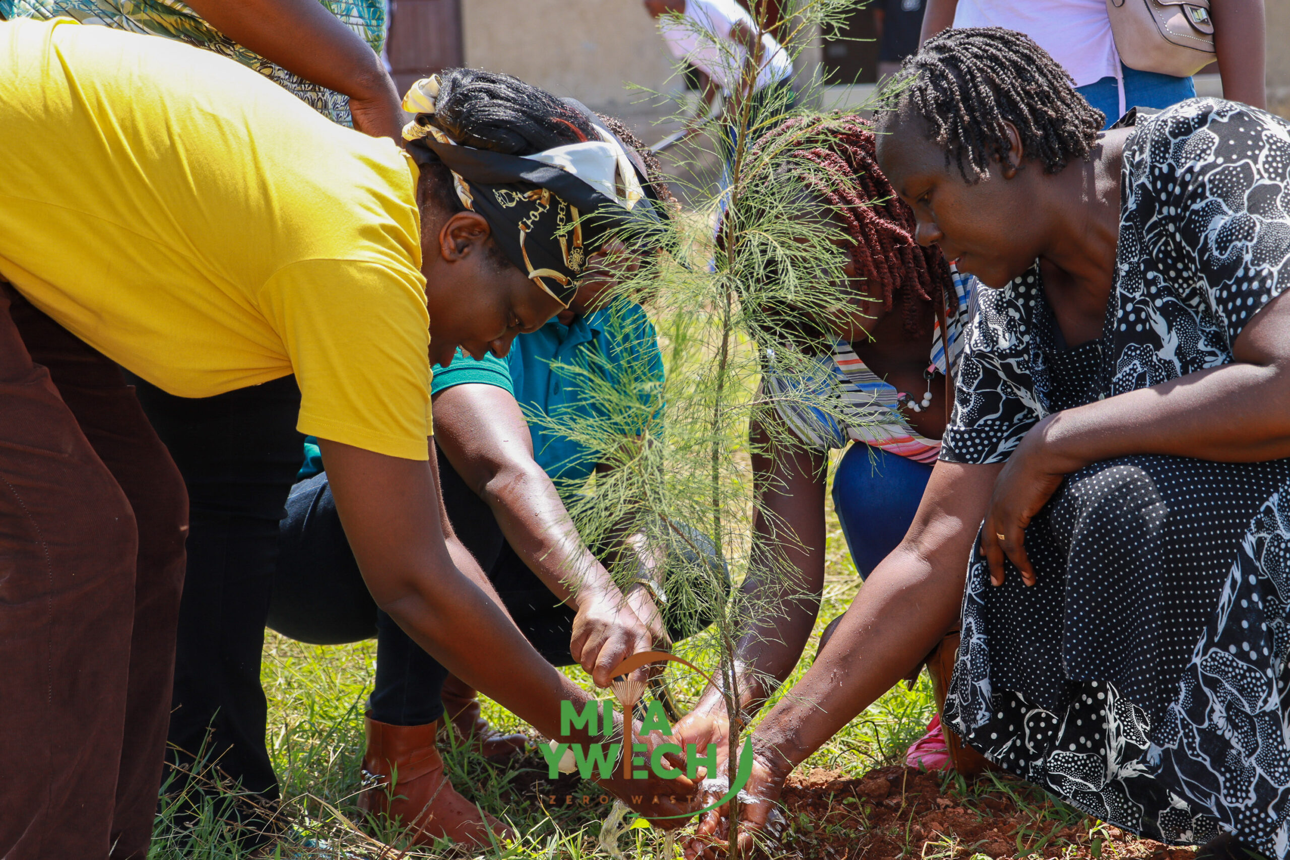 Building a Cleaner Future in Kenya: The Kisumu Zero Waste Project
