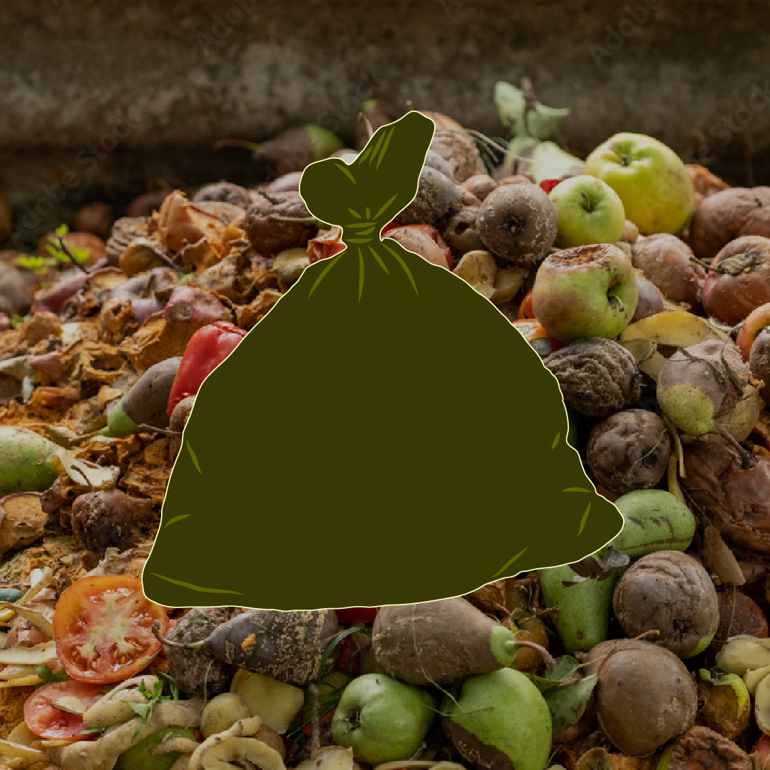 Food Waste Awareness in Indore & Pune