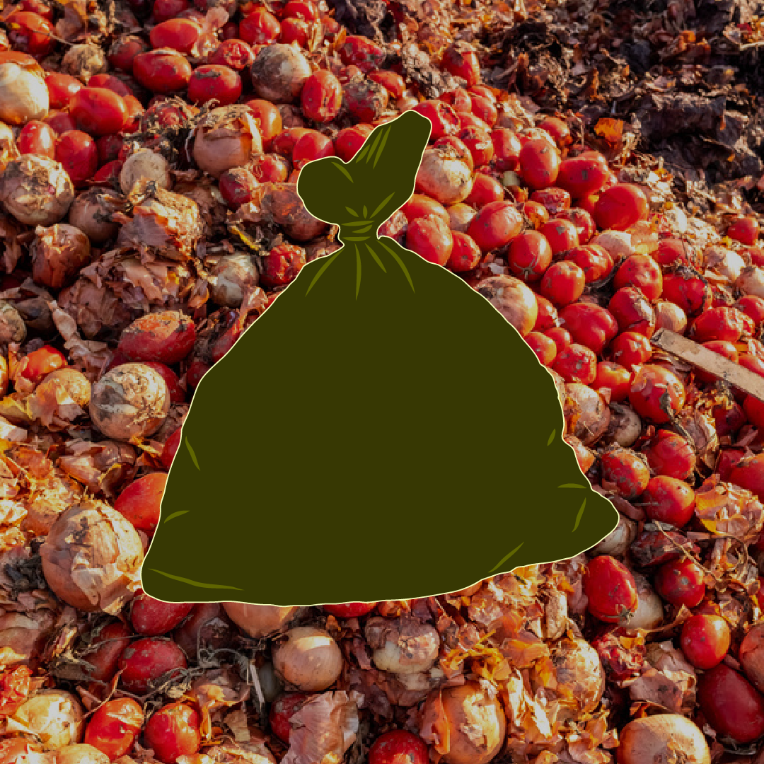 Food Waste Awareness in Indore & Pune